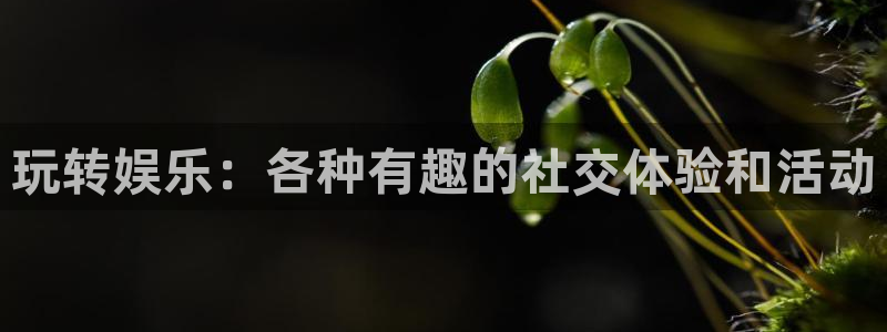 长运娱乐平台官网入口：玩转娱乐：各种有趣的社交体验和活动