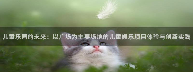长运娱乐平台登录入口：儿童乐园的未来：以广场为主要场地的儿童娱乐项目体验与创新实践