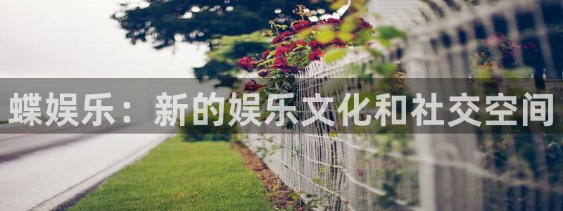 长运娱乐主管：蝶娱乐：新的娱乐文化和社交空间