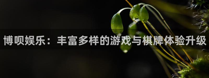 长运娱乐平台官网入口：博呗娱乐：丰富多样的游戏与棋牌体验升级