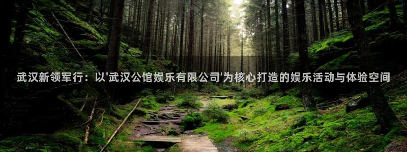 长运娱乐平台登录入口：武汉新领军行：以\'武汉公馆娱乐有限公司\'为核心打造的娱乐活动与体验空间
